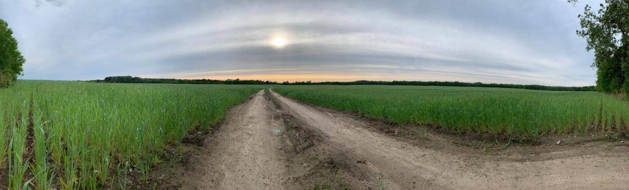 Dom Nad Jeziorem Gaja House Jadamowo Kültér fotó